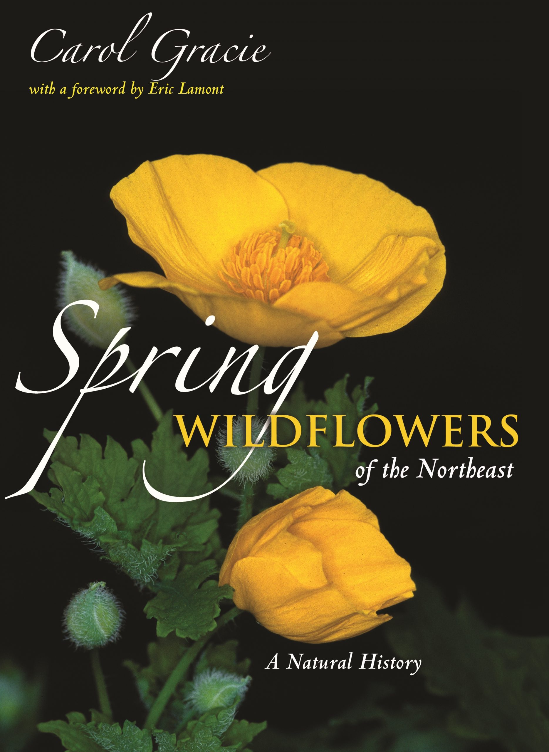 9781400841745-scaled-1.jpg